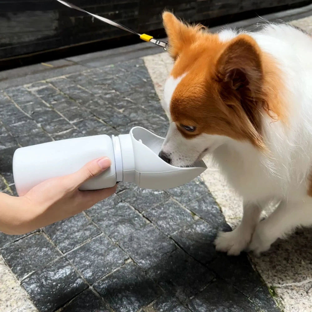 Folding Pet Outdoor Walking Mug Portable Travel Water Bottle Puppy Cats Dogs Drinking Water Dispenser Cup Supplies